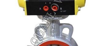 Pneumatic Actuator Operated Replaceable Sleeve Butterfly Valve