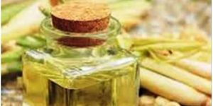 Lemongrass Essential Oil