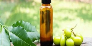 Neem Seed Oil