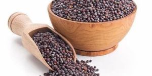 Black Brown Mustard Seeds