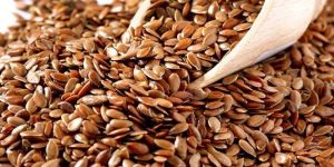 Flax Seeds