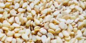 Natural Sesame Seeds