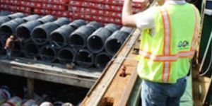 Cargo Survey Service