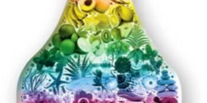 Fruity Fragrance Perfume