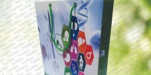 Printed Paper Bag