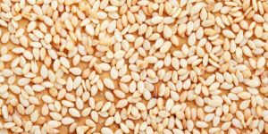 Sesame Seeds