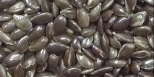 Roasted Flax Seed