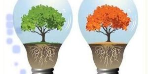 Energy Conservation Services