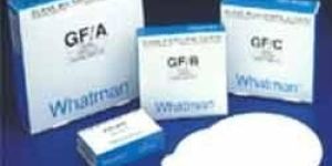 Whatman Filter Paper
