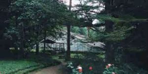 Environmental Statement Consultancy Services