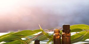 Vetiver Essential Oil