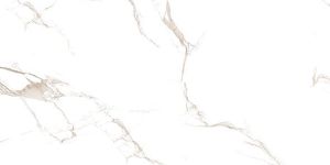 GL20029-R Glossy Series Vitrified Tile