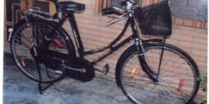 RW-64 Raleigh Type Ladies Bicycle