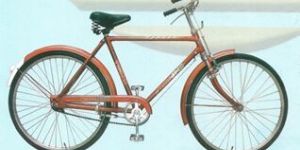 RW-67 Philips Type Double Bar Bicycle