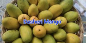 Fresh Dasheri Mango