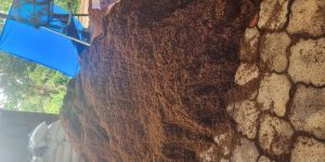DECOMPOSED COCO PEAT