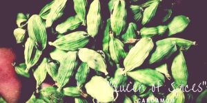 Cardamom