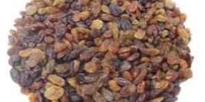 Dried Raisins
