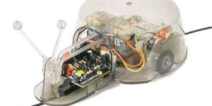 Line Tracing Snail Kit (VPL-RAT-LTS)