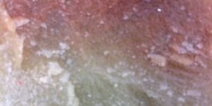 Pyrophyllite Carving Stone