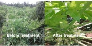 Plant Virus Control Chemical