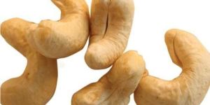 Cashew