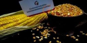G003 Broken Maize