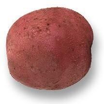 Red Potato