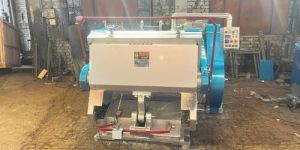 Platen Die Punching Machine