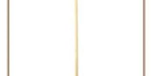 Carbon Steel Scrapper