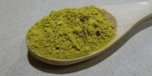 Andrographis Paniculata Extract