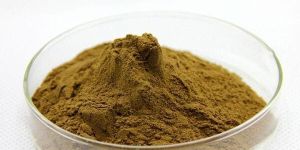 Bacopa Monnieri Extract