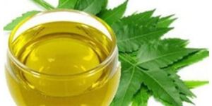 Neem Liquid Extracts