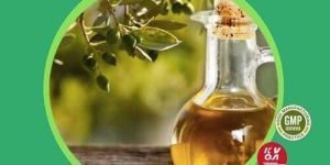 Panax Ginseng Liquid Extracts