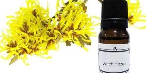Witch Hazel Liquid Extract