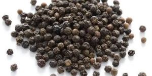 Black Pepper Seeds