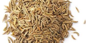 Cumin Seeds
