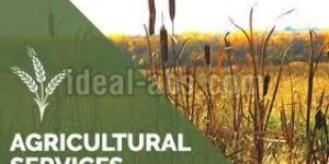 Agri Business Services