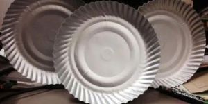 Disposable Paper Plate