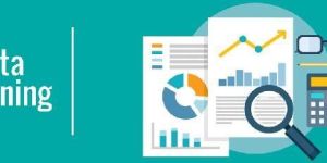 Data Mining Services