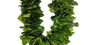 Vilvam Leaves Garland