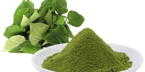 Centella Asiatica Extract
