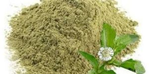Eclipta Alba Extract