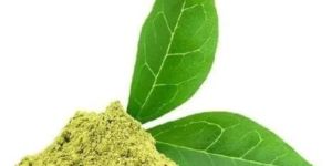 Gymnema Sylvestre Leaf Extract
