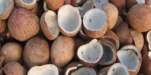 Coconut Nut Copra