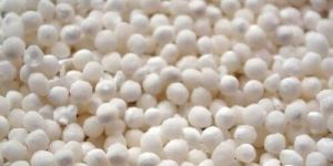 Tapioca Pearl