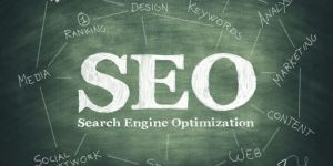 Search Engine Optimization Services