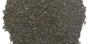 Babchi Seeds