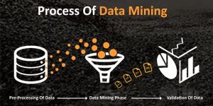 Data Mining Services