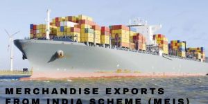 MEIS LICENSE SERVICES